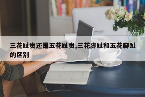 三花趾贵还是五花趾贵,三花脚趾和五花脚趾的区别